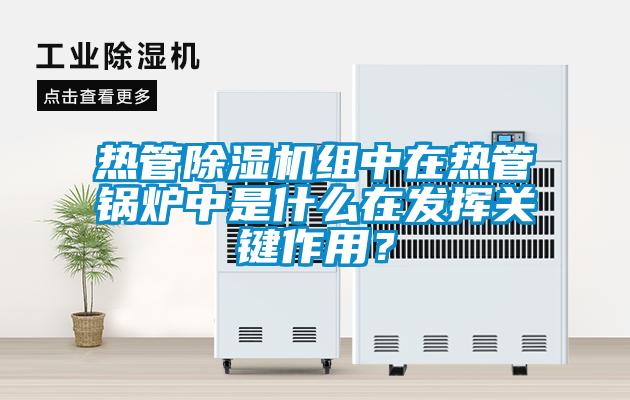 熱管除濕機組中在熱管鍋爐中是什么在發揮關鍵作用？