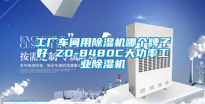工廠車間用除濕機哪個牌子好 ZD-8480C大功率工業除濕機