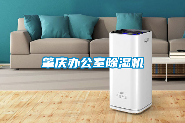 肇慶辦公室除濕機