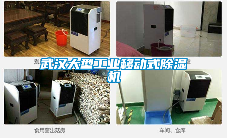 武漢大型工業移動式除濕機