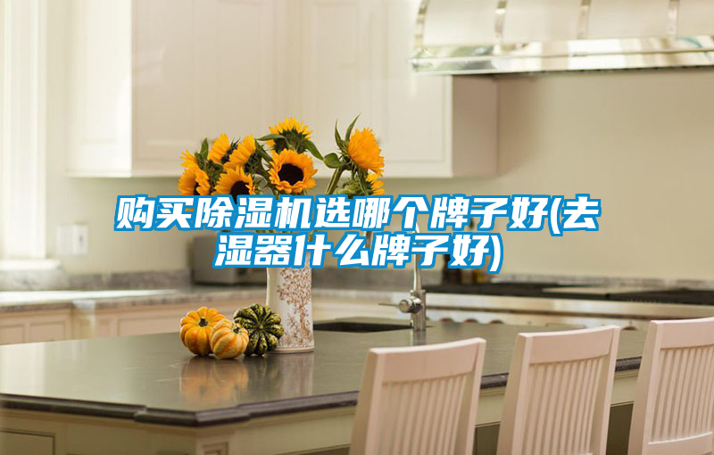 購買除濕機(jī)選哪個(gè)牌子好(去濕器什么牌子好)