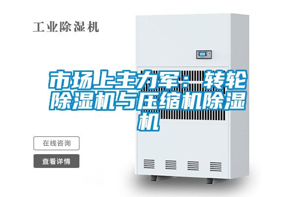 市場上主力軍：轉輪除濕機與壓縮機除濕機