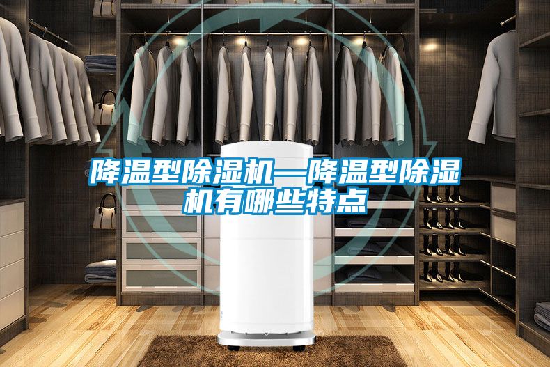 降溫型除濕機(jī)—降溫型除濕機(jī)有哪些特點(diǎn)