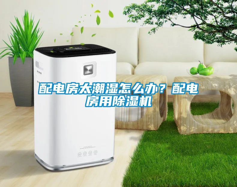 配電房太潮濕怎么辦？配電房用除濕機(jī)