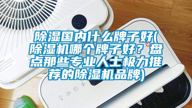 除濕國(guó)內(nèi)什么牌子好(除濕機(jī)哪個(gè)牌子好？盤點(diǎn)那些專業(yè)人士極力推薦的除濕機(jī)品牌)