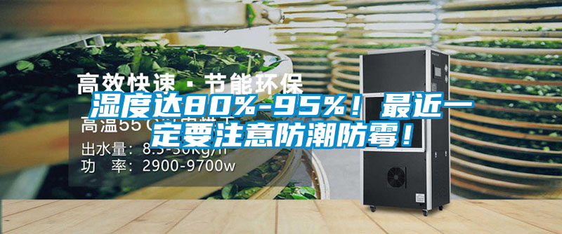濕度達80%-95%！最近一定要注意防潮防霉！