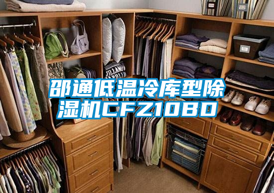 邵通低溫冷庫型除濕機(jī)CFZ10BD