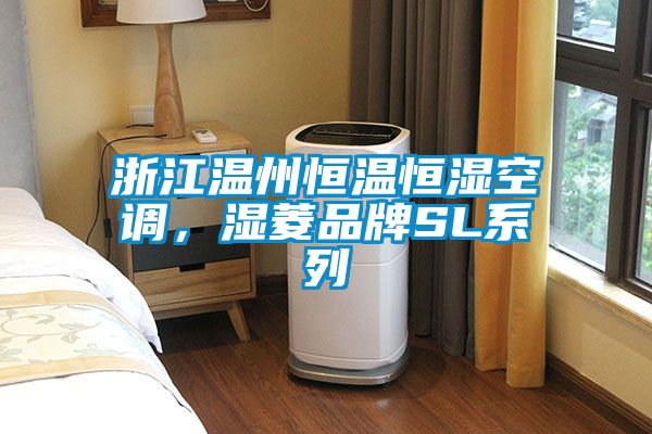 浙江溫州恒溫恒濕空調，濕菱品牌SL系列