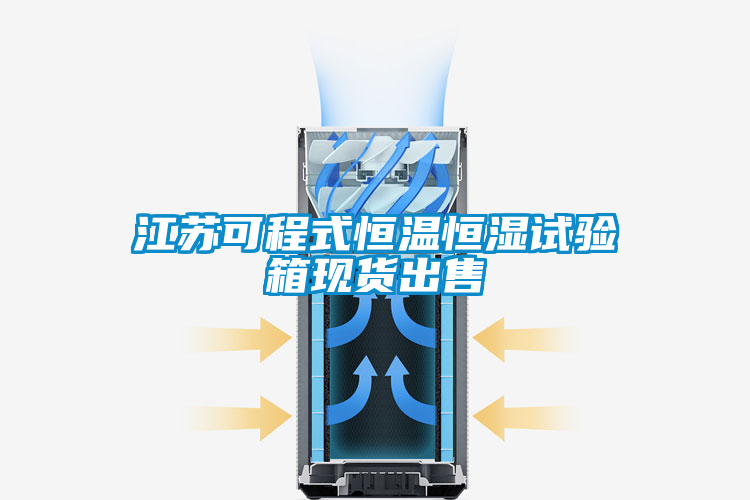 江蘇可程式恒溫恒濕試驗箱現貨出售