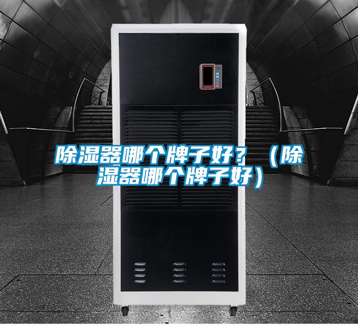 除濕器哪個牌子好？（除濕器哪個牌子好）