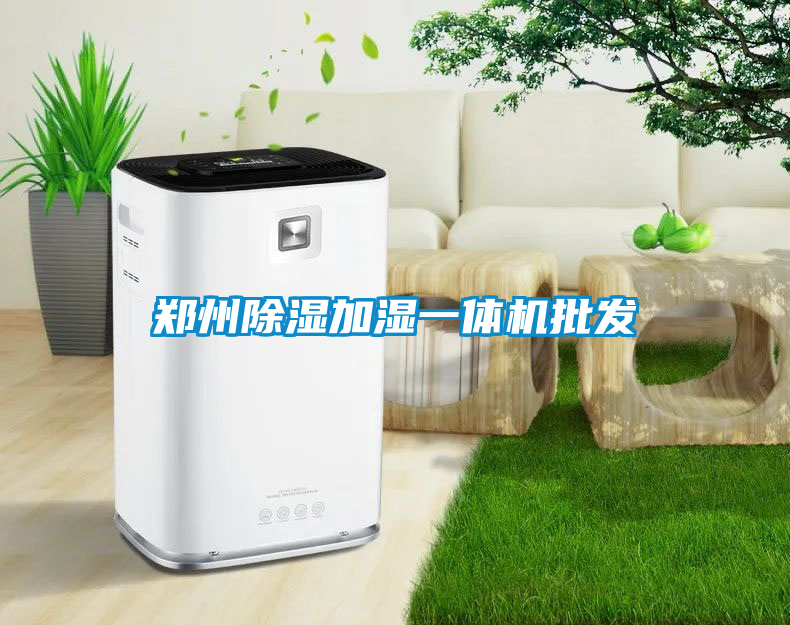 鄭州除濕加濕一體機(jī)批發(fā)