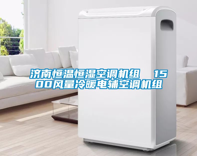 濟南恒溫恒濕空調(diào)機組  1500風(fēng)量冷暖電輔空調(diào)機組