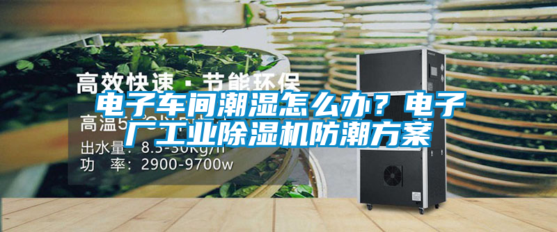 電子車間潮濕怎么辦？電子廠工業除濕機防潮方案