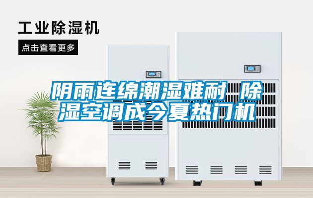 陰雨連綿潮濕難耐 除濕空調(diào)成今夏熱門機(jī)