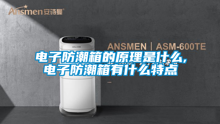 電子防潮箱的原理是什么,電子防潮箱有什么特點