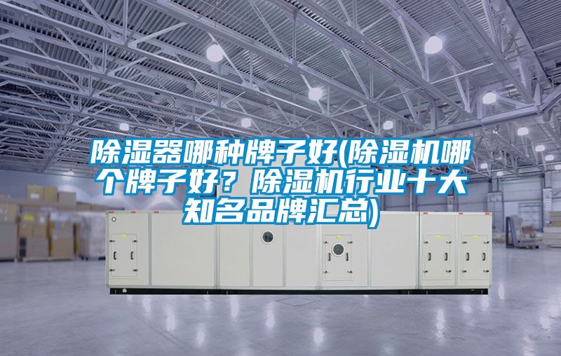 除濕器哪種牌子好(除濕機(jī)哪個(gè)牌子好？除濕機(jī)行業(yè)十大知名品牌匯總)