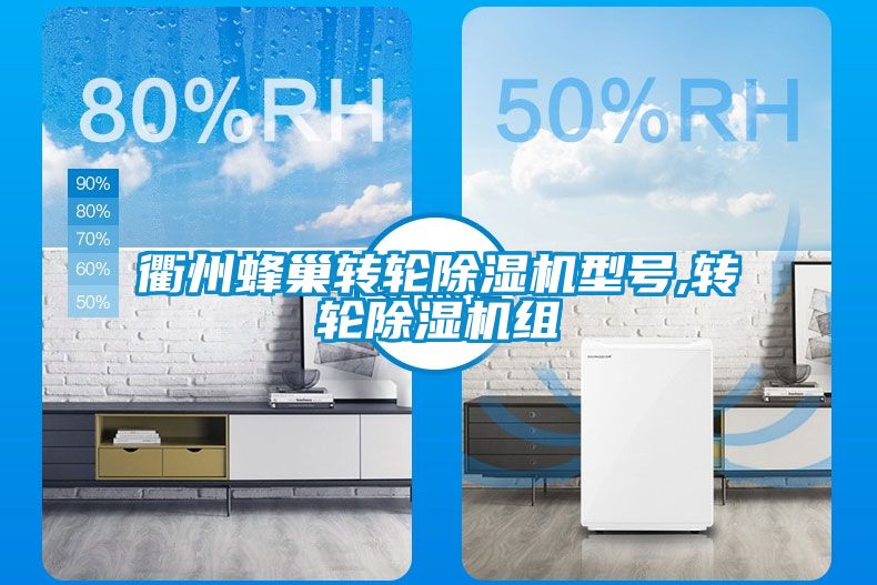 衢州蜂巢轉輪除濕機型號,轉輪除濕機組
