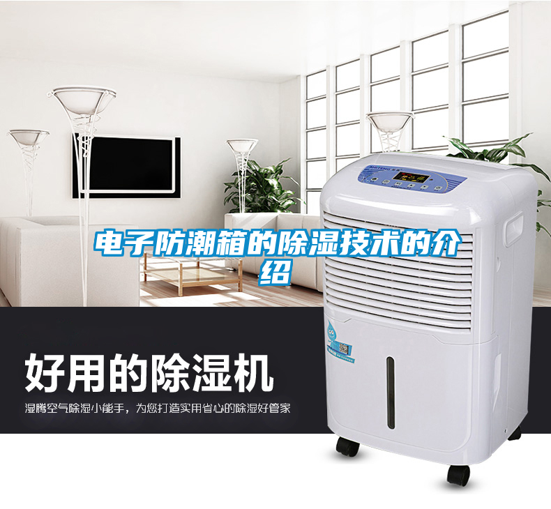 電子防潮箱的除濕技術的介紹