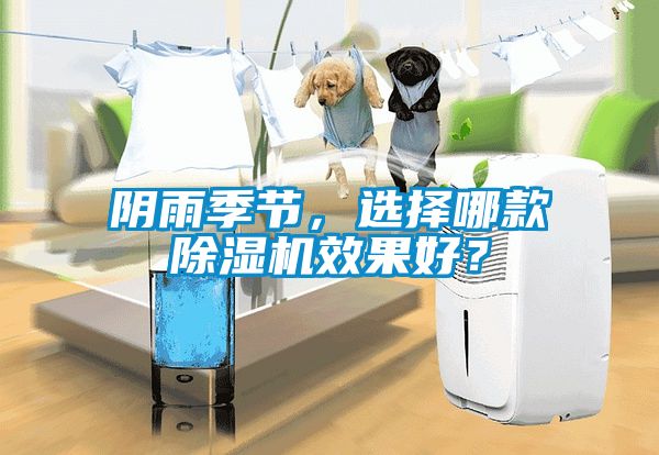 陰雨季節(jié)，選擇哪款除濕機(jī)效果好？