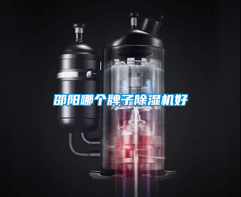 邵陽哪個(gè)牌子除濕機(jī)好