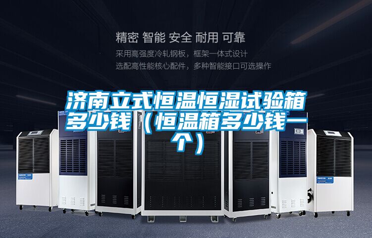 濟南立式恒溫恒濕試驗箱多少錢（恒溫箱多少錢一個）