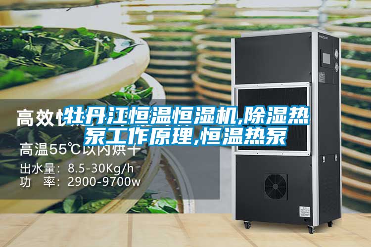 牡丹江恒溫恒濕機,除濕熱泵工作原理,恒溫熱泵