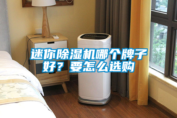迷你除濕機哪個牌子好？要怎么選購