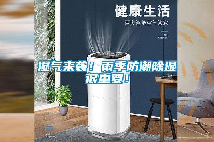 濕氣來(lái)襲！雨季防潮除濕很重要！