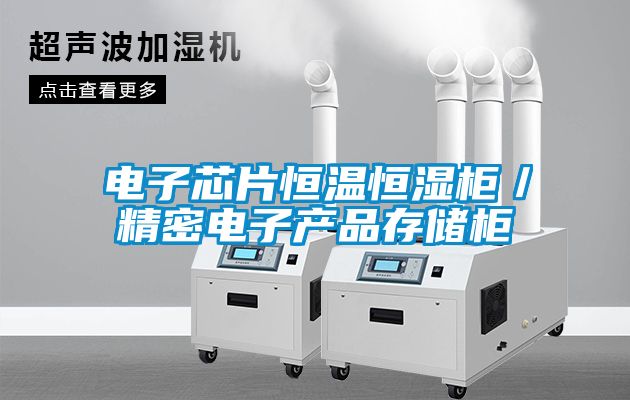 電子芯片恒溫恒濕柜／精密電子產品存儲柜