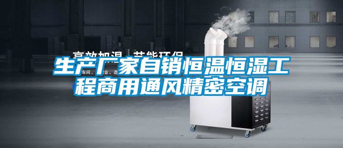 生產廠家自銷恒溫恒濕工程商用通風精密空調