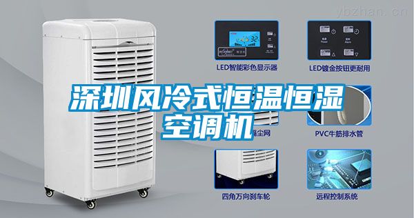 深圳風(fēng)冷式恒溫恒濕空調(diào)機