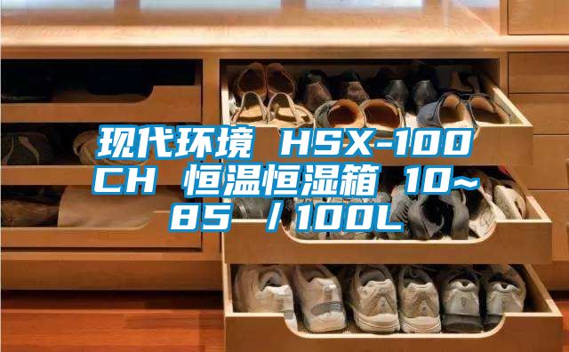 現代環境 HSX-100CH 恒溫恒濕箱 10~85℃／100L