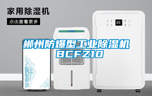 郴州防爆型工業除濕機 BCFZ10