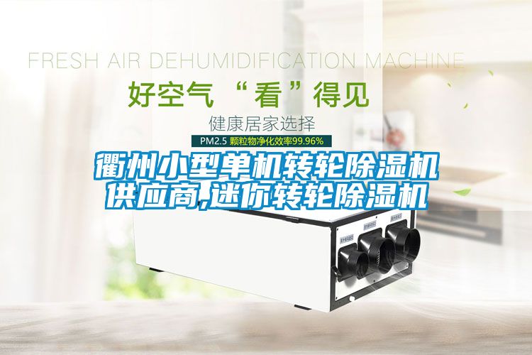衢州小型單機轉輪除濕機供應商,迷你轉輪除濕機
