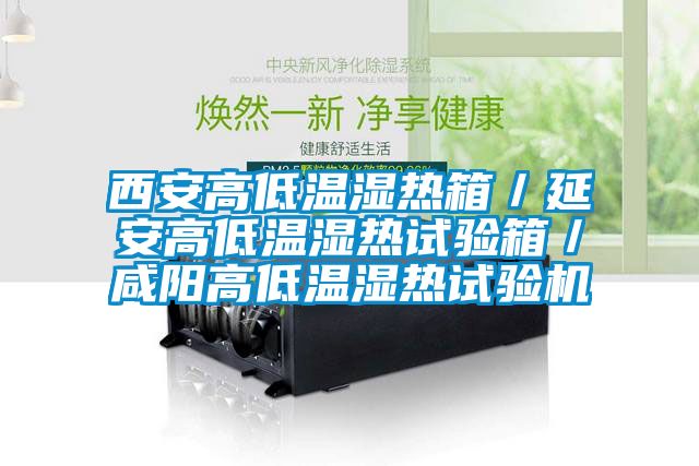 西安高低溫濕熱箱／延安高低溫濕熱試驗箱／咸陽高低溫濕熱試驗機