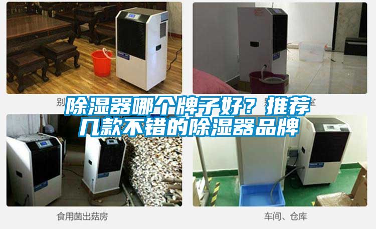 除濕器哪個牌子好？推薦幾款不錯的除濕器品牌