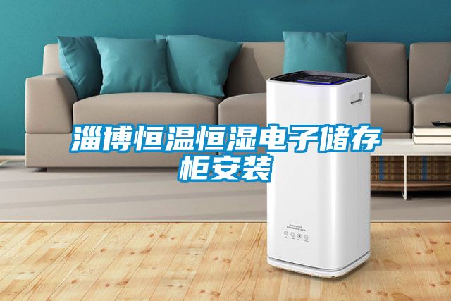 淄博恒溫恒濕電子儲存柜安裝