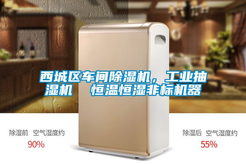 西城區車間除濕機，工業抽濕機  恒溫恒濕非標機器