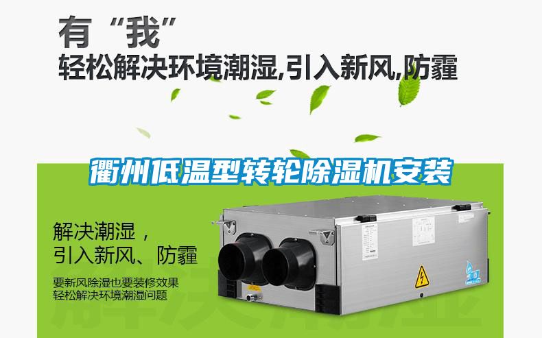 衢州低溫型轉輪除濕機安裝