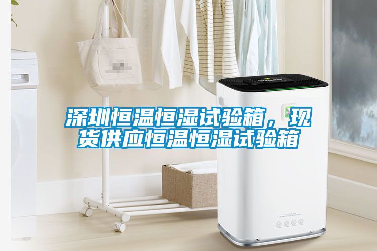 深圳恒溫恒濕試驗箱，現貨供應恒溫恒濕試驗箱