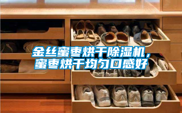 金絲蜜棗烘干除濕機，蜜棗烘干均勻口感好