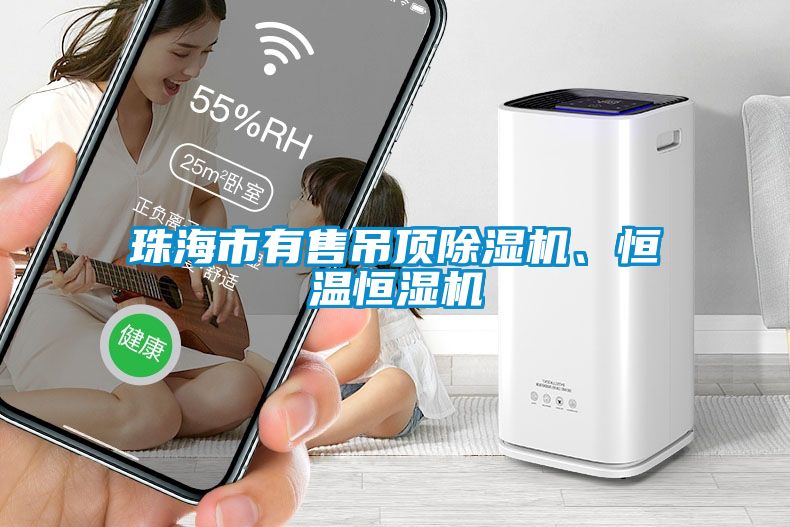 珠海市有售吊頂除濕機、恒溫恒濕機
