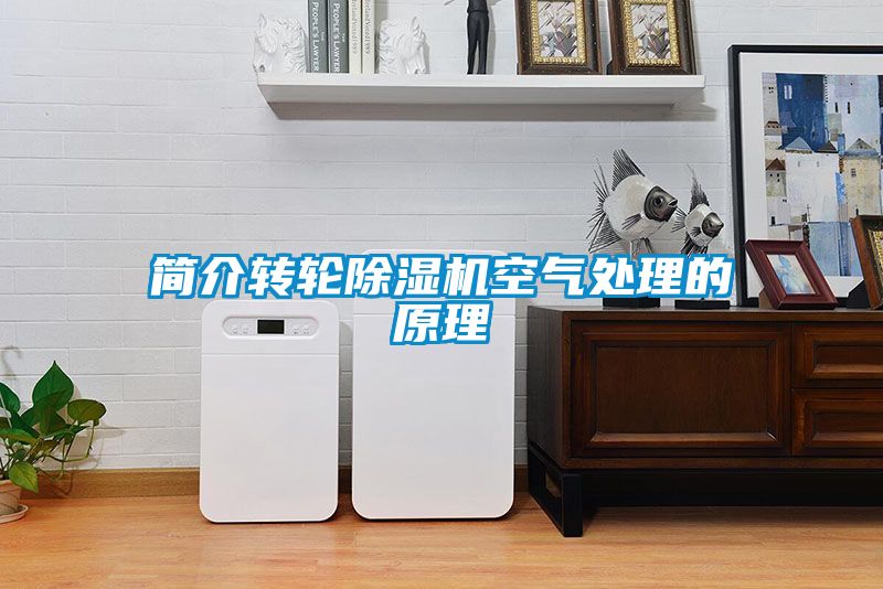 簡介轉輪除濕機空氣處理的原理