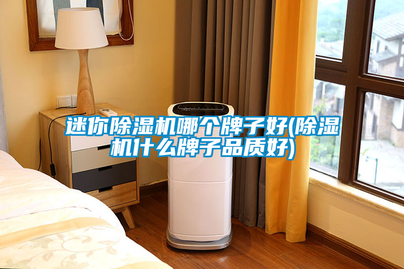 迷你除濕機哪個牌子好(除濕機什么牌子品質好)