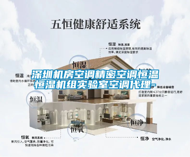 深圳機房空調精密空調恒溫恒濕機組實驗室空調代理-