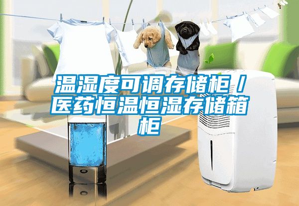 溫濕度可調存儲柜／醫藥恒溫恒濕存儲箱柜