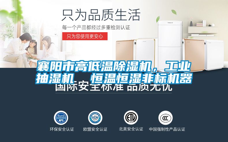 襄陽市高低溫除濕機，工業抽濕機  恒溫恒濕非標機器