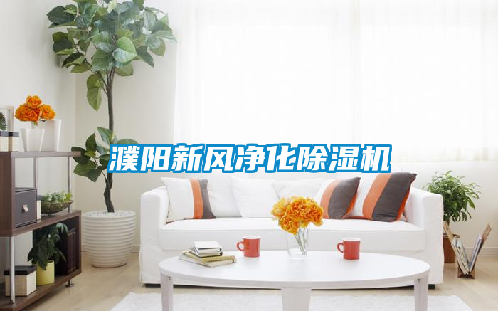 濮陽新風凈化除濕機