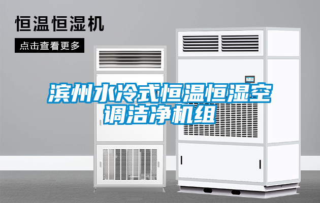 濱州水冷式恒溫恒濕空調潔凈機組