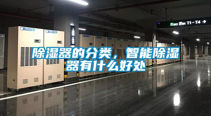 除濕器的分類(lèi)，智能除濕器有什么好處